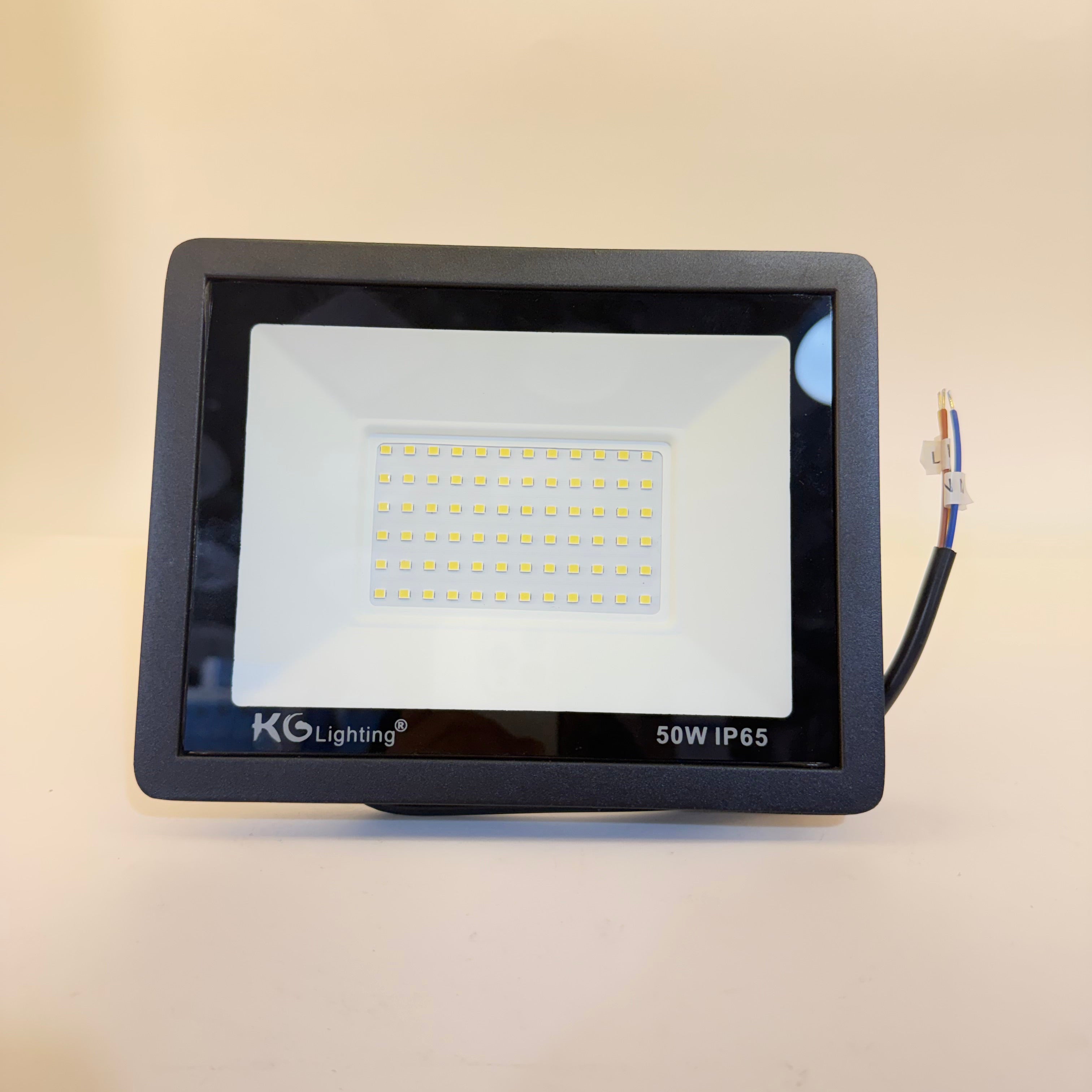 Projecteur LED 220V