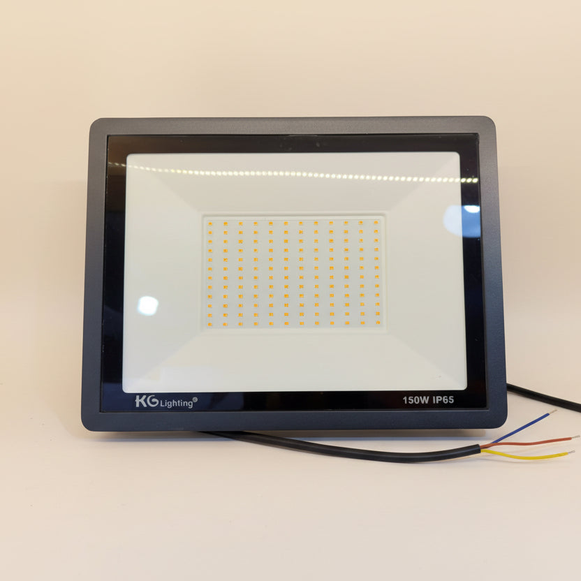 Projecteur LED 220V
