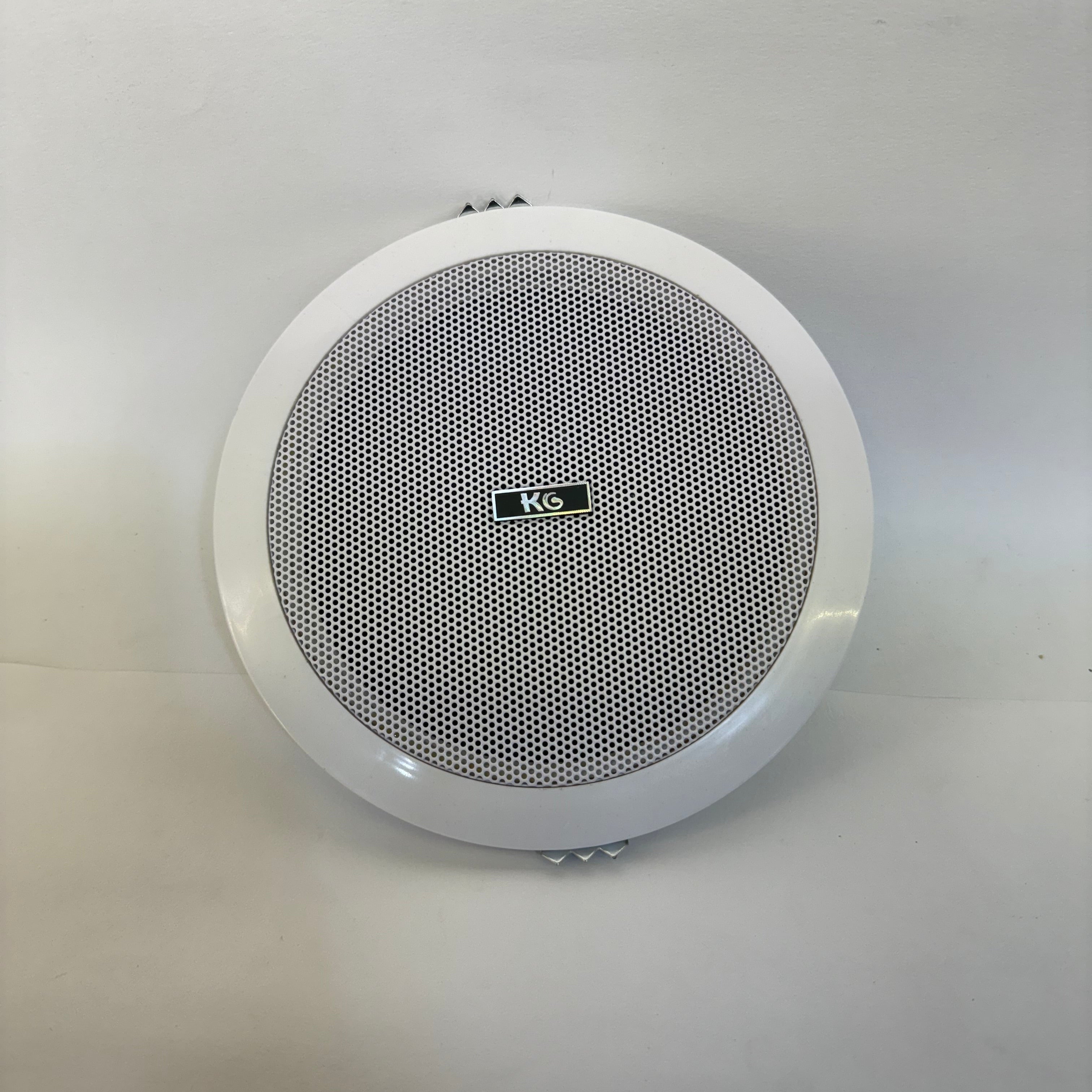 Haut parleur 220V