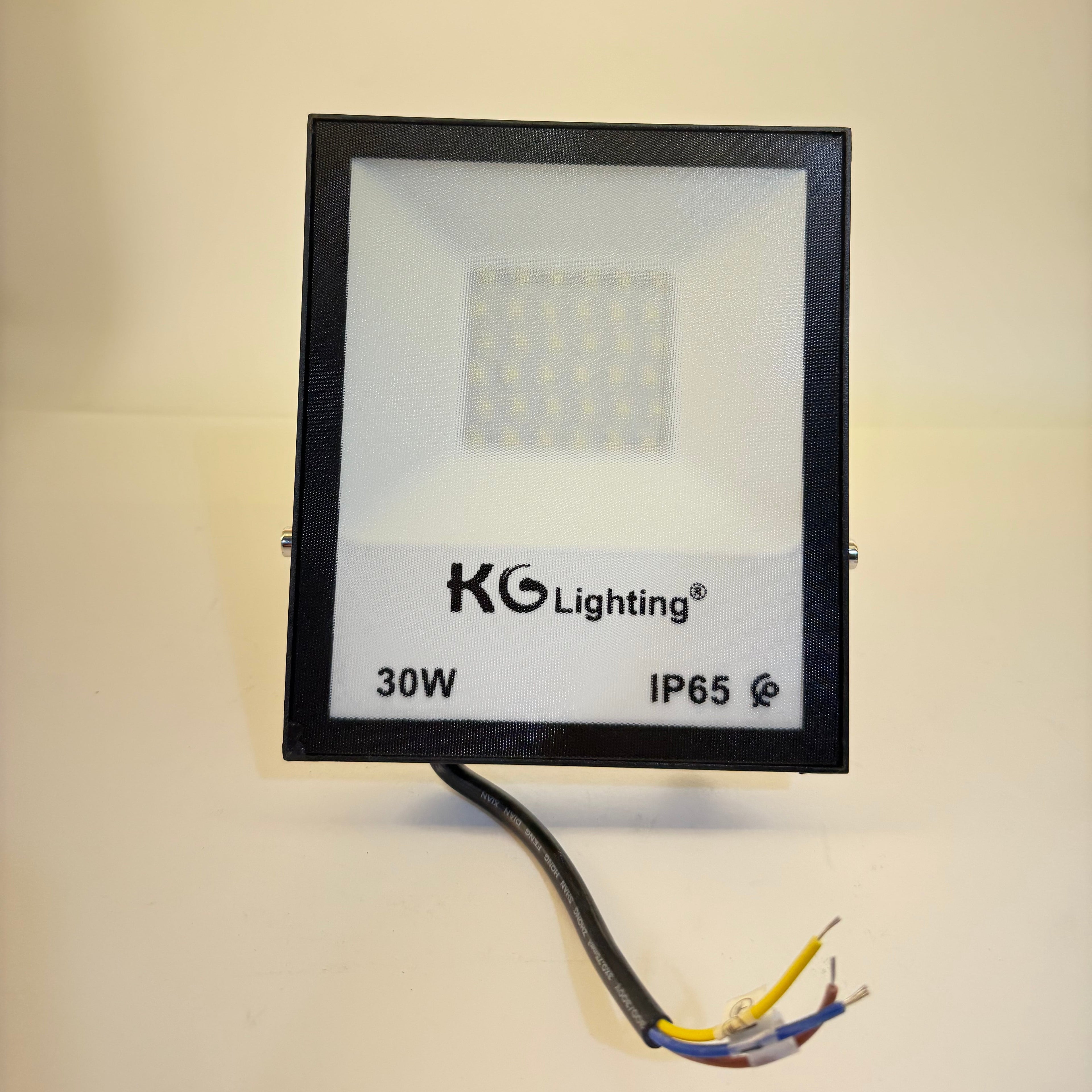 Projecteur LED 220V