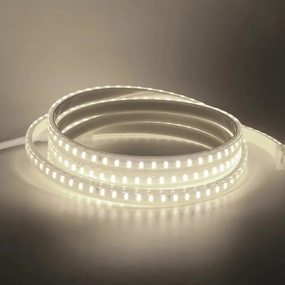 Ruban LED 220V