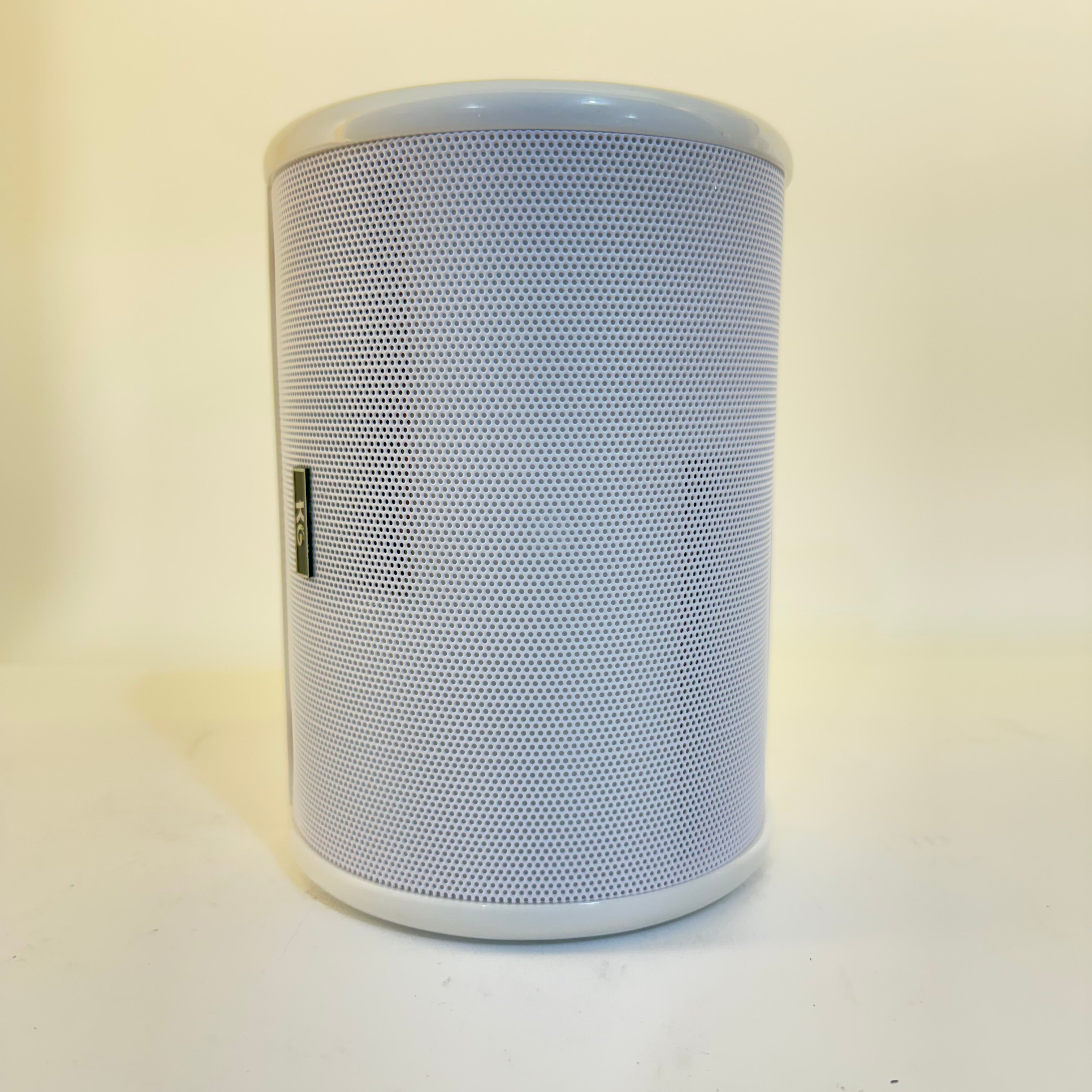 Haut parleur 220V